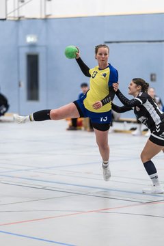 Bild 80 - F HSG Pinnau2 - Rellinger TV2 : Ergebnis: 27:20
